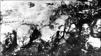 Геноцид армян в 1915 году Геноцид армян в 1915 году